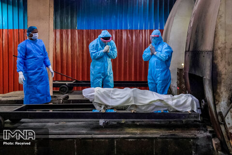 آمار کرونا در جهان در تاریخ ۱۰ دی/ ۱۳۴۵۳ فوتی