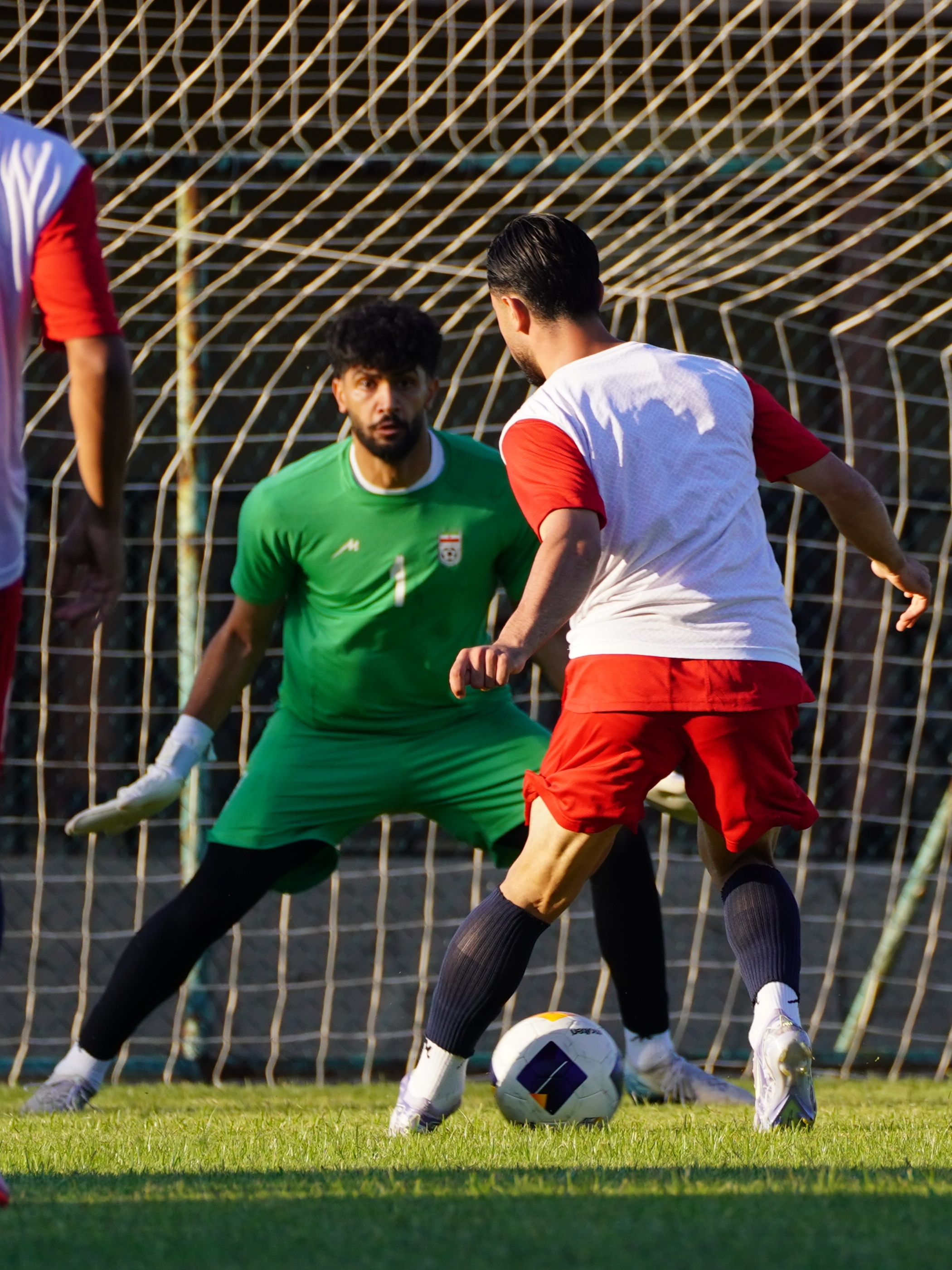 تیم ملی