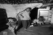 زندگی پر محنت خانواده تازه آبادی+تصاویر