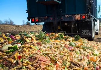 آمار باورنکردنی از اسراف مواد غذایی در عربستان سعودی