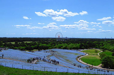 n00096731-r-b-004