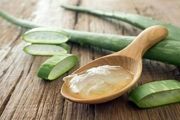 8 خاصیت آنتی اکسیدانی آلوئه‌ورا