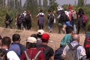 اینفوگرافی / نگاهی به آمار پناهجویان جهان در سال ۲۰۱۸
