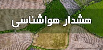هشدار بارش باران به شالیکاران و دامداران

