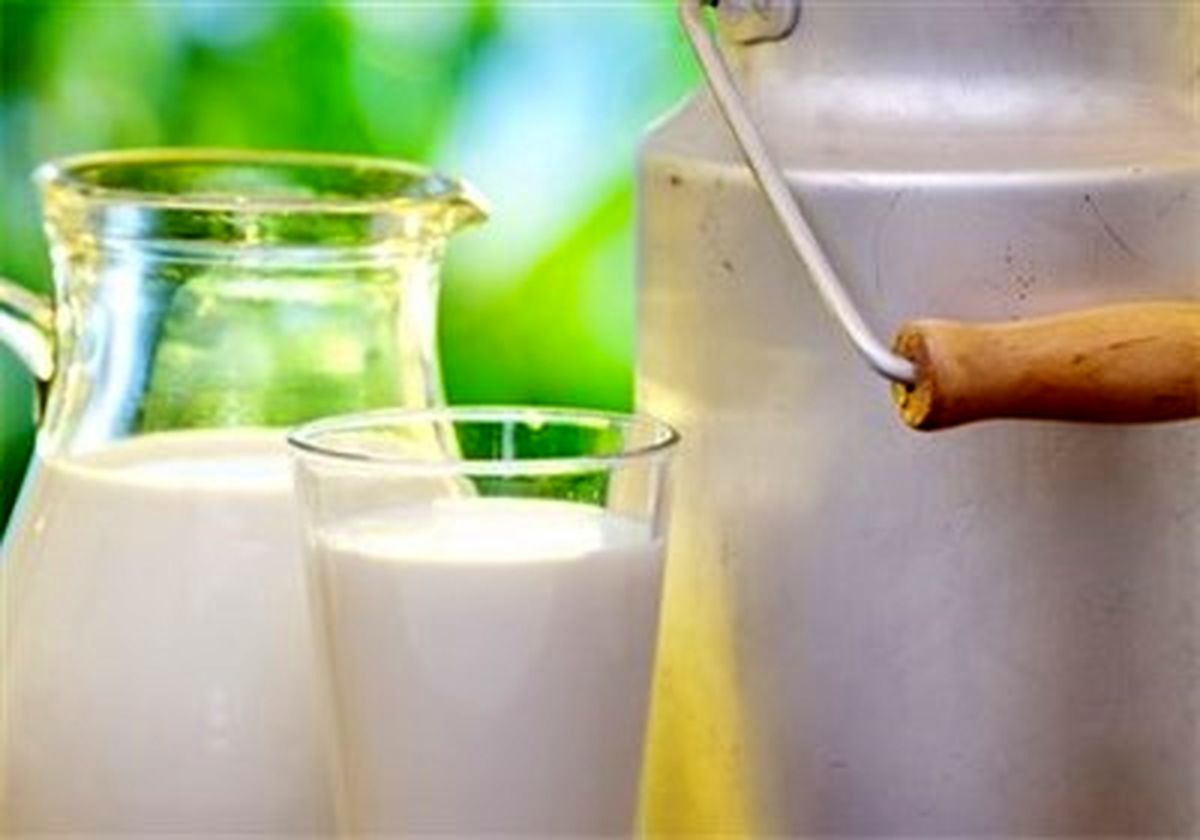 مصرف شیر گاو برای رفع وسواس و فراموشی