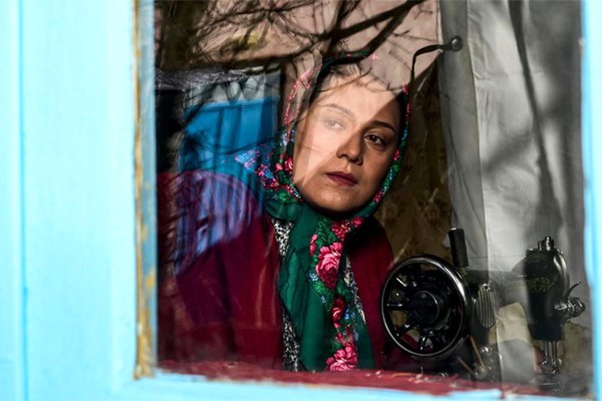 جدیدترین خبرها از ساخت «خجالت نکش» 