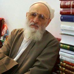 تصاویر کمتر دیده شده از آیت الله حسن زاده آملی