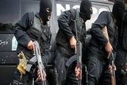 دستگیری ۶۸ نفر از عوامل عملیاتی سلطنت طلب و گروهک نفاق 