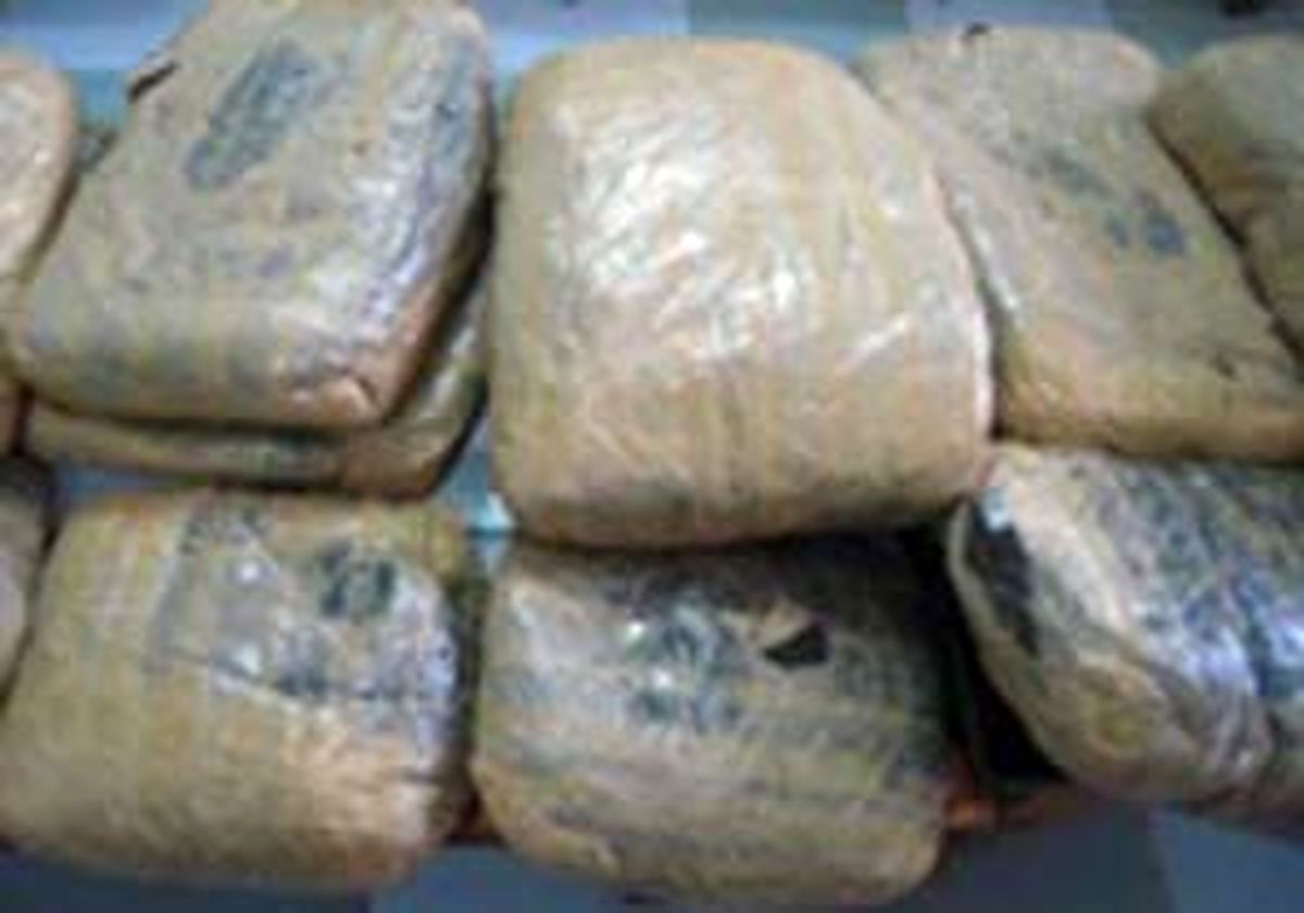 
کشف بیش از یک تن حشیش زیر ماسه
