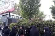 تجمع خانواده‌های جانباختگان سانحه هوایی یاسوج مقابل سازمان هلال احمر