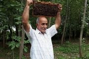 مرد گیلانی که زنبورها او را نیش نمی‌زنند + عکس