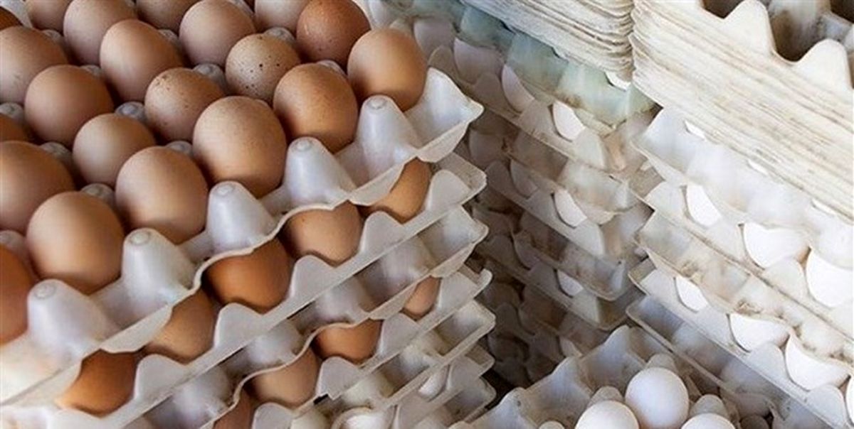 قیمت تخم مرغ امروز ۱۷ بهمن ۱۴۰۲ چقدر شد؟