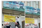 برخورد قاطع با شهروند شیرازی که یک درخت را قطع کرد/ عکس