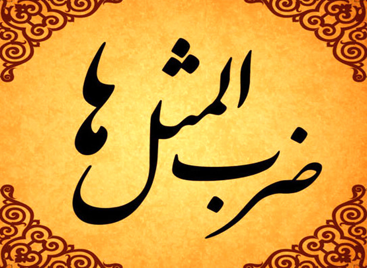  چه کسی گفت جوجه را آخر پاییز بشمار؟!