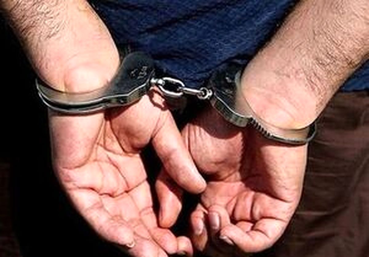 
راننده ضارب در شهریار شناسایی و دستگیر شد
