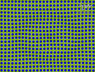 n00157239-r-b-000