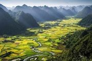 برگزیدگان مسابقه عکاسی smithsonian / تصاویر