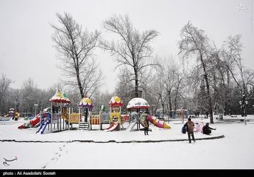resized_1449762_895