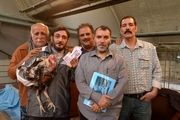 ده نمکی: خطر استفاده از بازیگران میلیاردی را نپذیرفتم