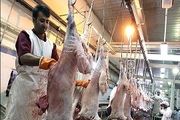 ذبح گوسفند در ایران، عزای بوقلمون‌ها در آمریکا!