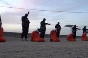 ۹۰۰کشته، قربانی جنایات داعش درموصل وفلوجه