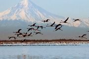 جزئیات لایروبی تالاب میانکاله