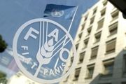 هشدار فائو نسبت به بحران جهانی غذا به‌دلیل جنگ اوکراین