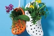 گزارش تصویری; گلدان هایی از جنس کفش