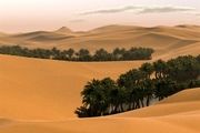 بیابان، عروس زاگرس را می بلعد