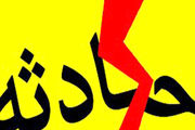 
خودرو سواری با زیرگرفتن چند نفر فرار کرد
