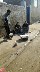 امدادرسانی بسیج در سیل گلستان