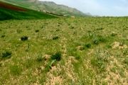 طرح کمربند حفاظتی برای مشخص کردن مرز اراضی ملی و غیر ملی انجام شد