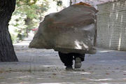 چه کسی پاسخگوی معضل زباله گردی است