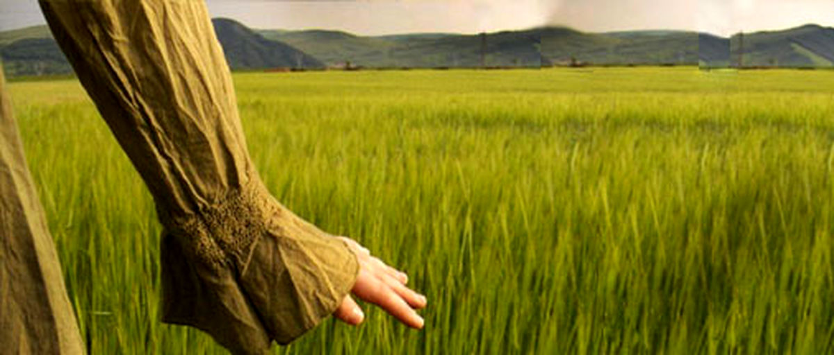 ۲۱ درس زندگی برای خوشبختی
