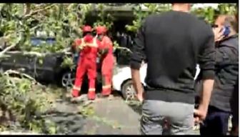 سقوط درخت روی خودروها در خیابان ولیعصر تهران +فیلم