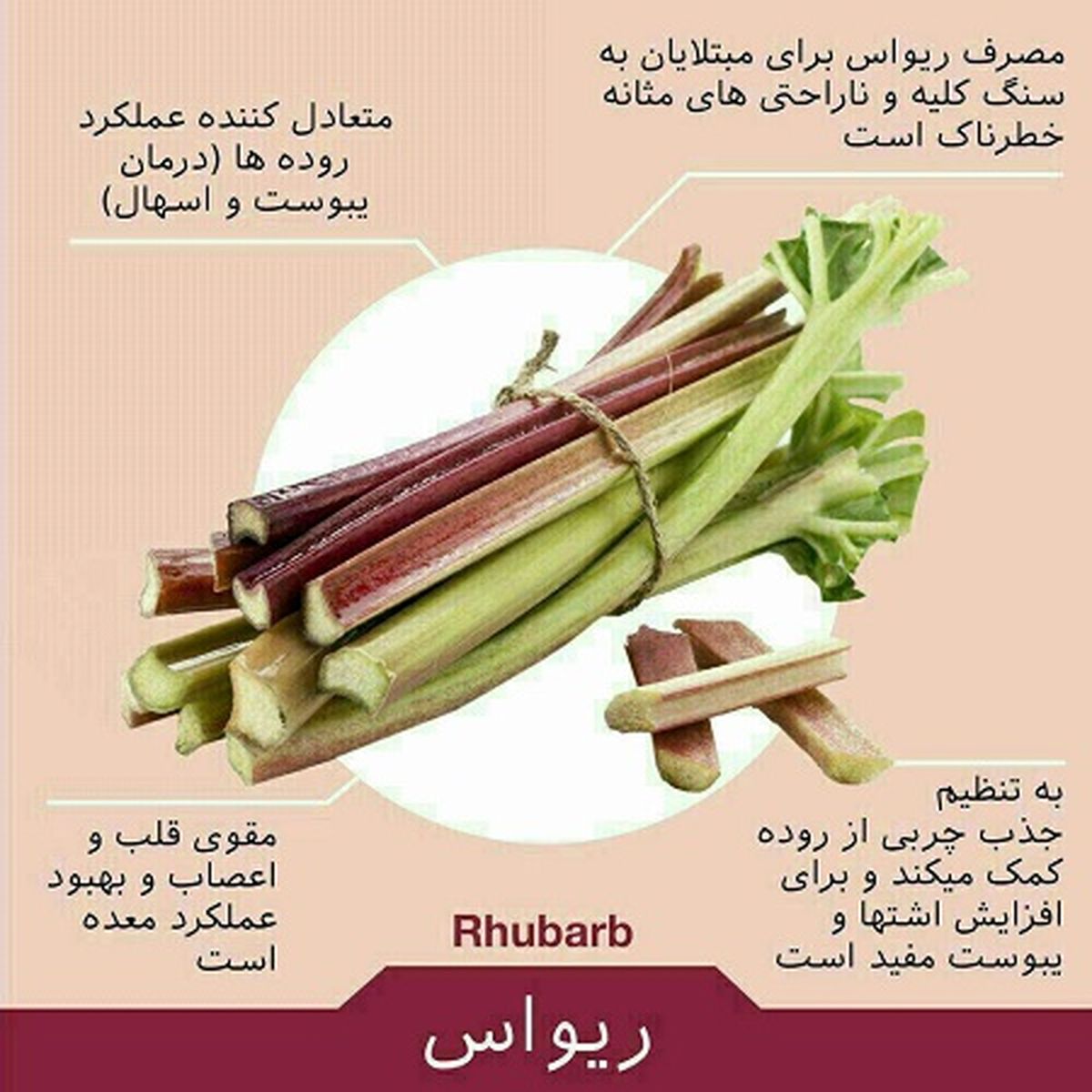 خواص درمانی ریواس؛ نوبرانه تابستانی