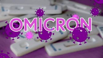 سویه فرعی امیکرون خطرناک‌تر از سویه اصلی آن است
