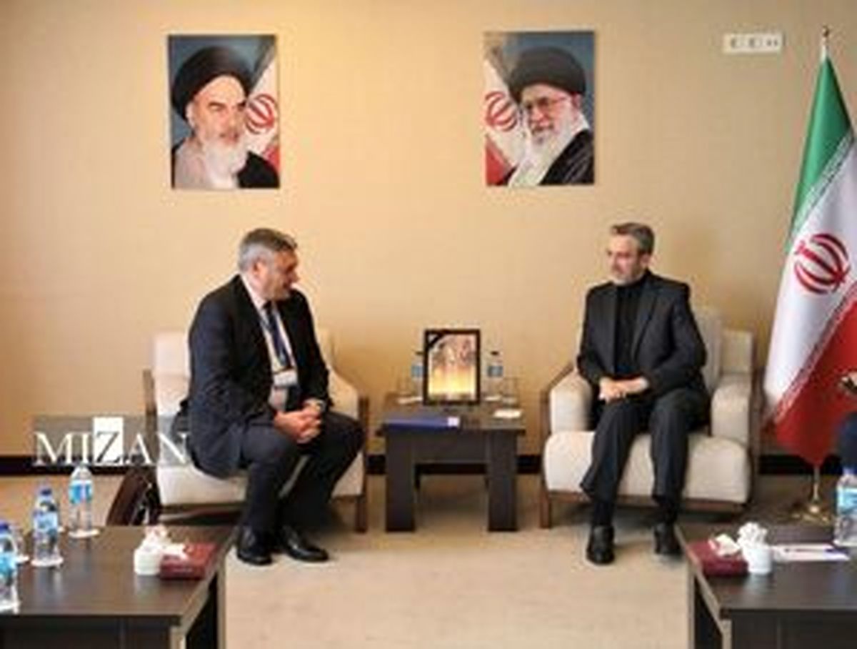 
دیدار معاون وزیر امور خارجه روسیه با باقری
