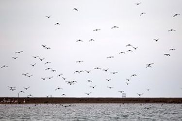13951214001167636242323748818465_79223_PhotoU