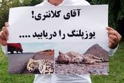 رویکرد کلانتری نسبت به پروژه حفاظت از یوز