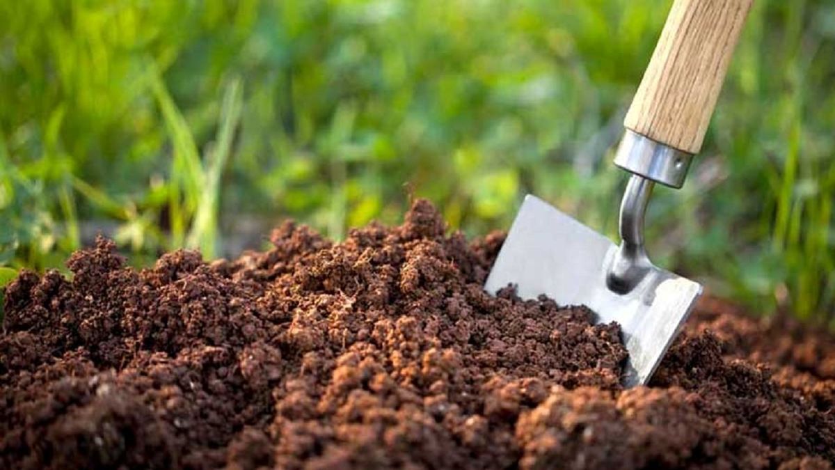سازمان جنگل‌ ها، مجوزی برای برداشت خاک صادر نکرده
