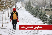 مدارس
برخی مناطق آذربایجان شرقی تعطیل شد
