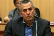 وفور اقلام پرمصرف و کالاهای اساسی در بازار