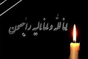 امام جمعه سبزوار دار فانی را وداع گفت 