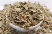 برگ سنا، تقویت کننده دستگاه گوارش