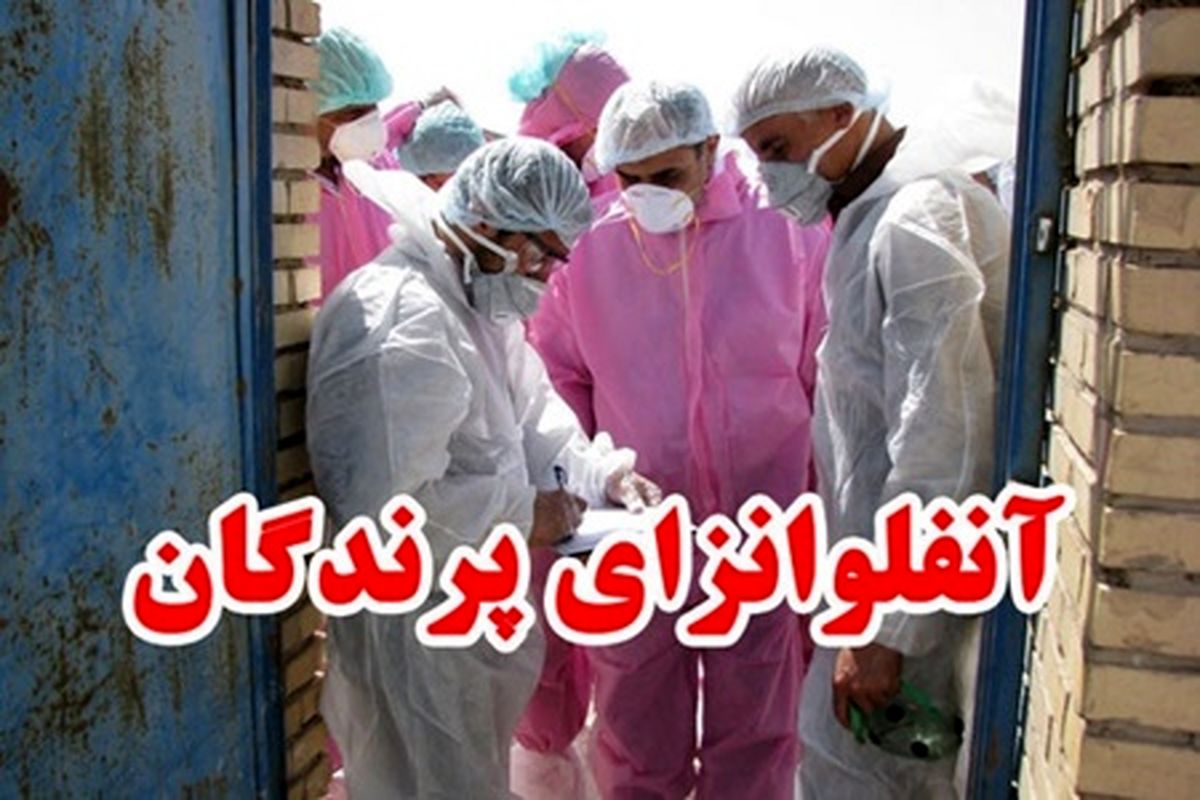  کارگروه مقابله با آنفلوانزای فوق حاد پرندگان در حیات وحش آغاز به کارکرد