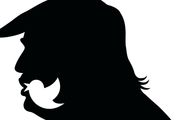 توئیتر پر از مزخرفات شده است
