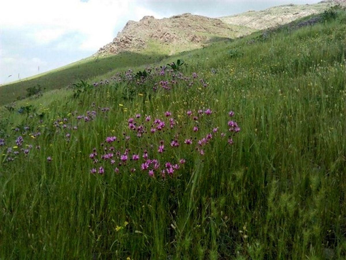 طبیعت زیبای منطقه حفاظت شده خانگرمز