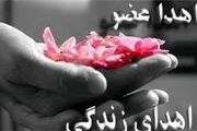 برگشتی برای مرگ مغزی وجود ندارد