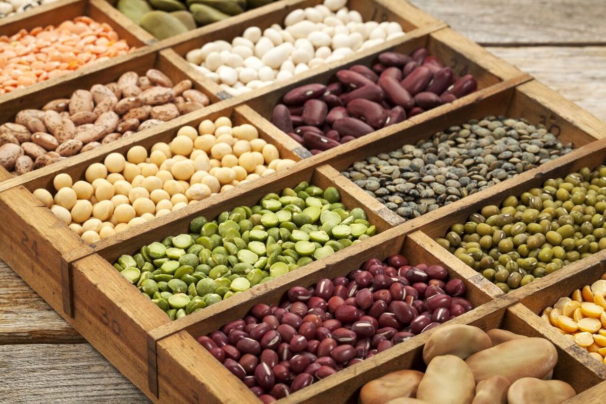 قیمت انواع حبوبات در بازار چقدر است؟
